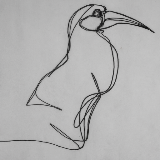 pencil sketch of a bird