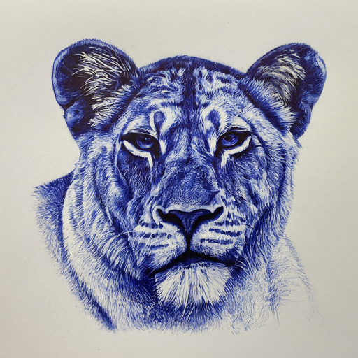 ball point sketch of a lioness