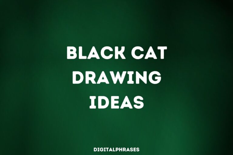 72 Black Cat Drawing Ideas