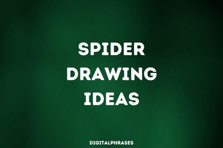 60 Spider Drawing Ideas