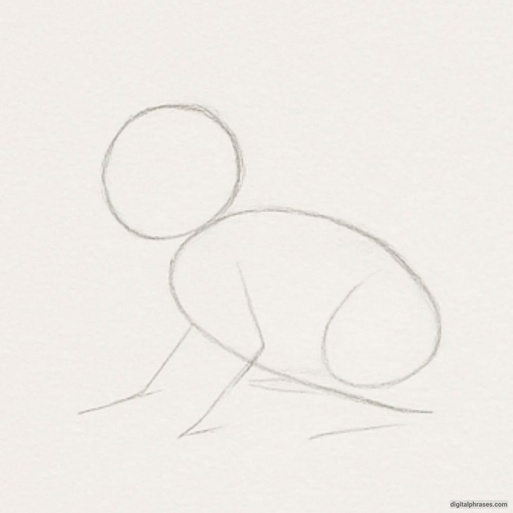 How To Draw a Bunny How To Draw a Bunny