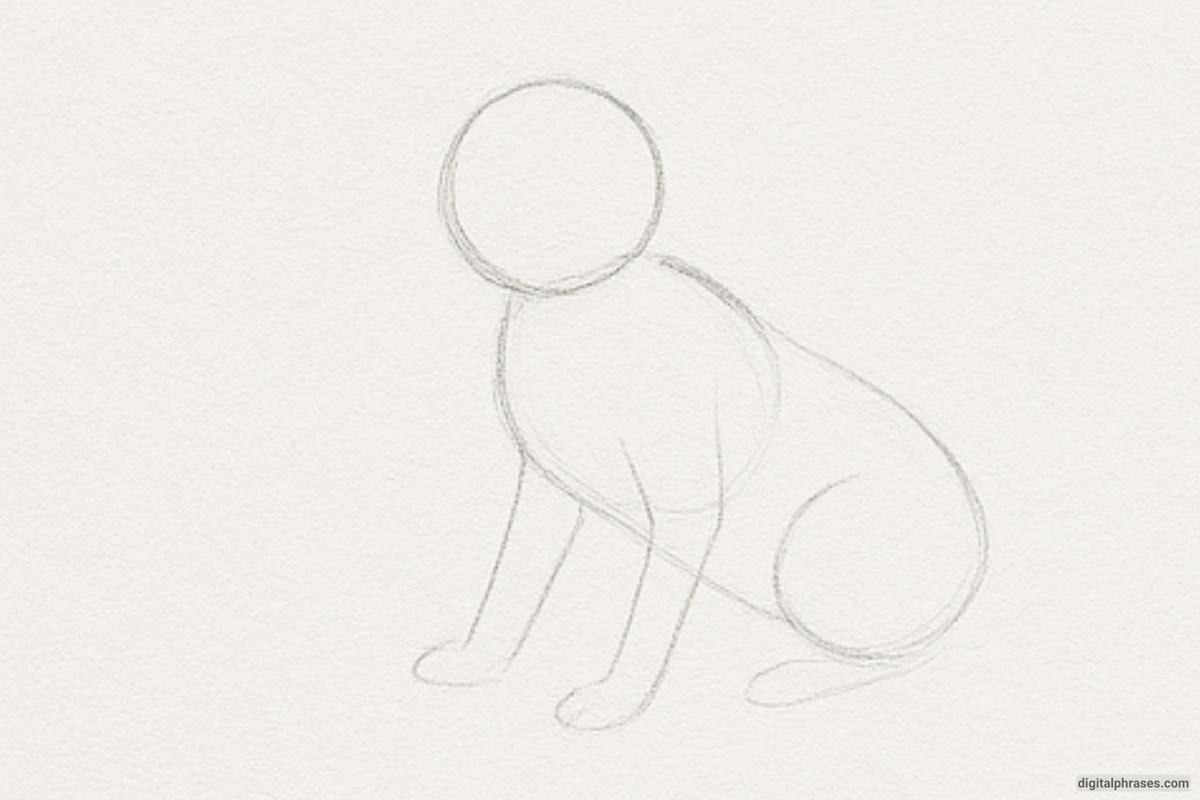 How To Draw a Cat How To Draw a Cat
