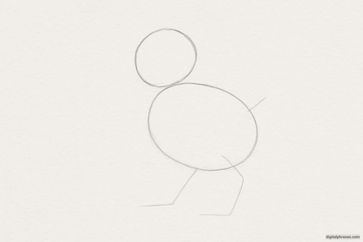 How To Draw a Chicken How To Draw a Chicken