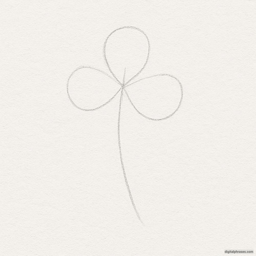 How To Draw a Clover Plant How To Draw a Clover Plant