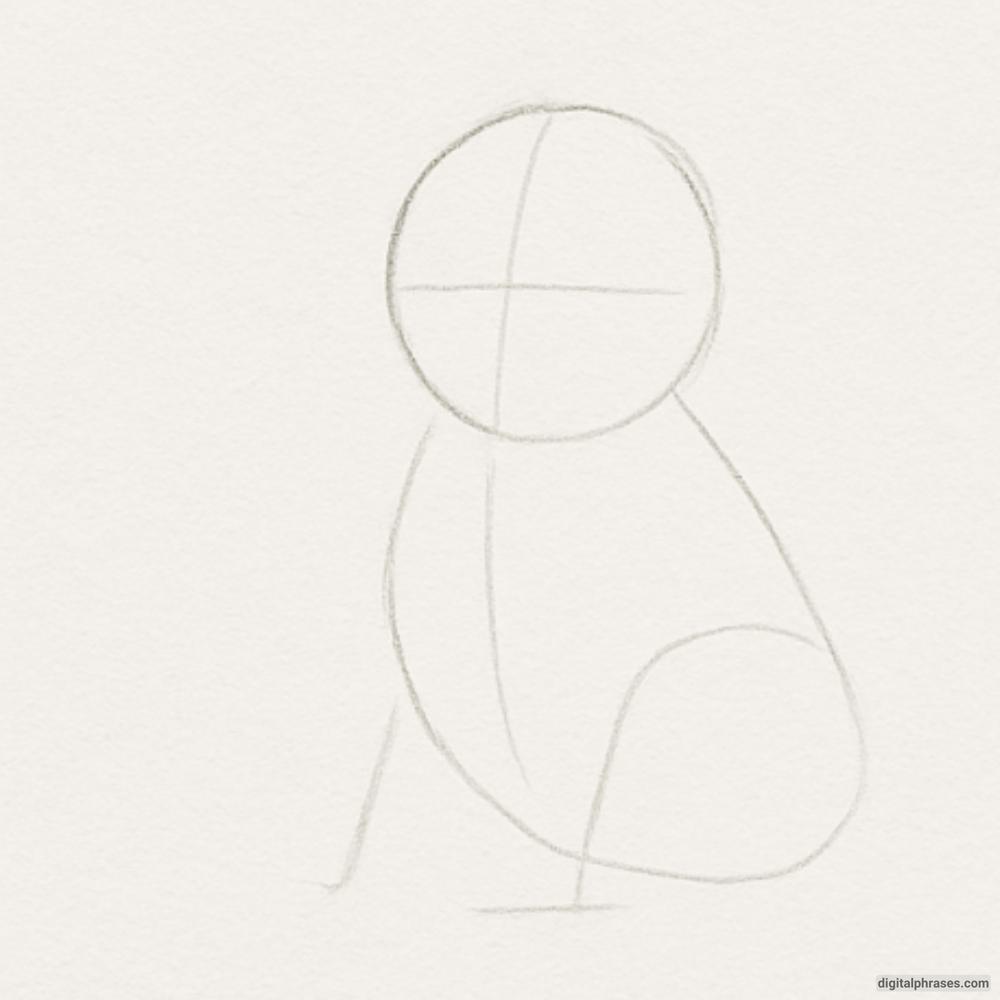 How To Draw a Dog How To Draw a Dog