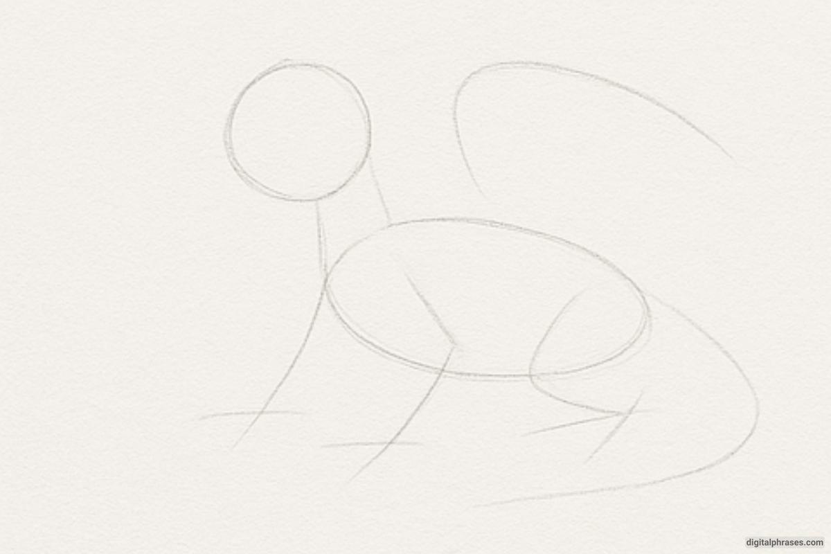 How To Draw a Dragon How To Draw a Dragon