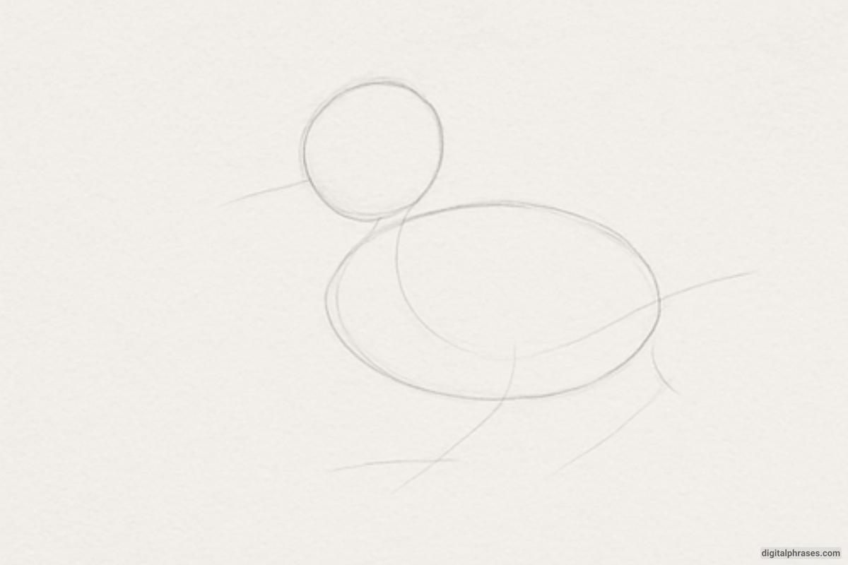 How To Draw a Duck How To Draw a Duck