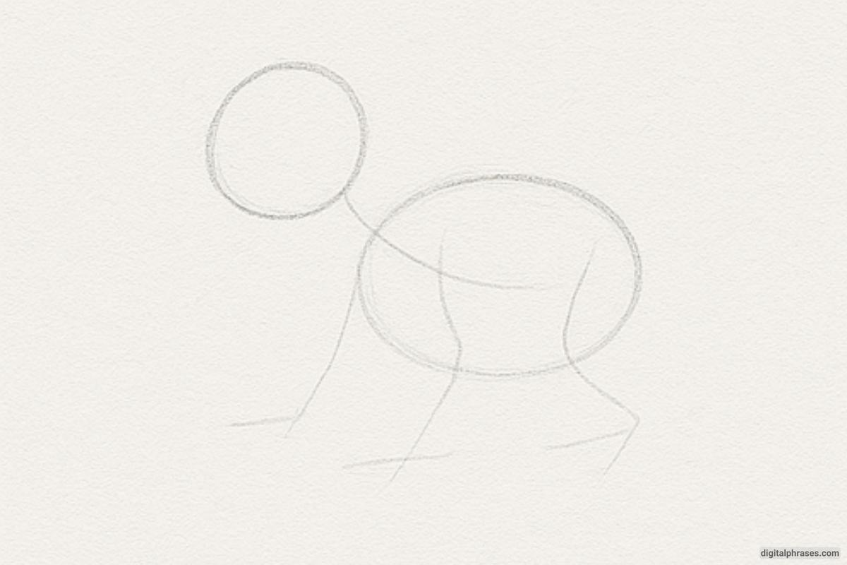 How To Draw a Dinosaur How To Draw a Dinosaur