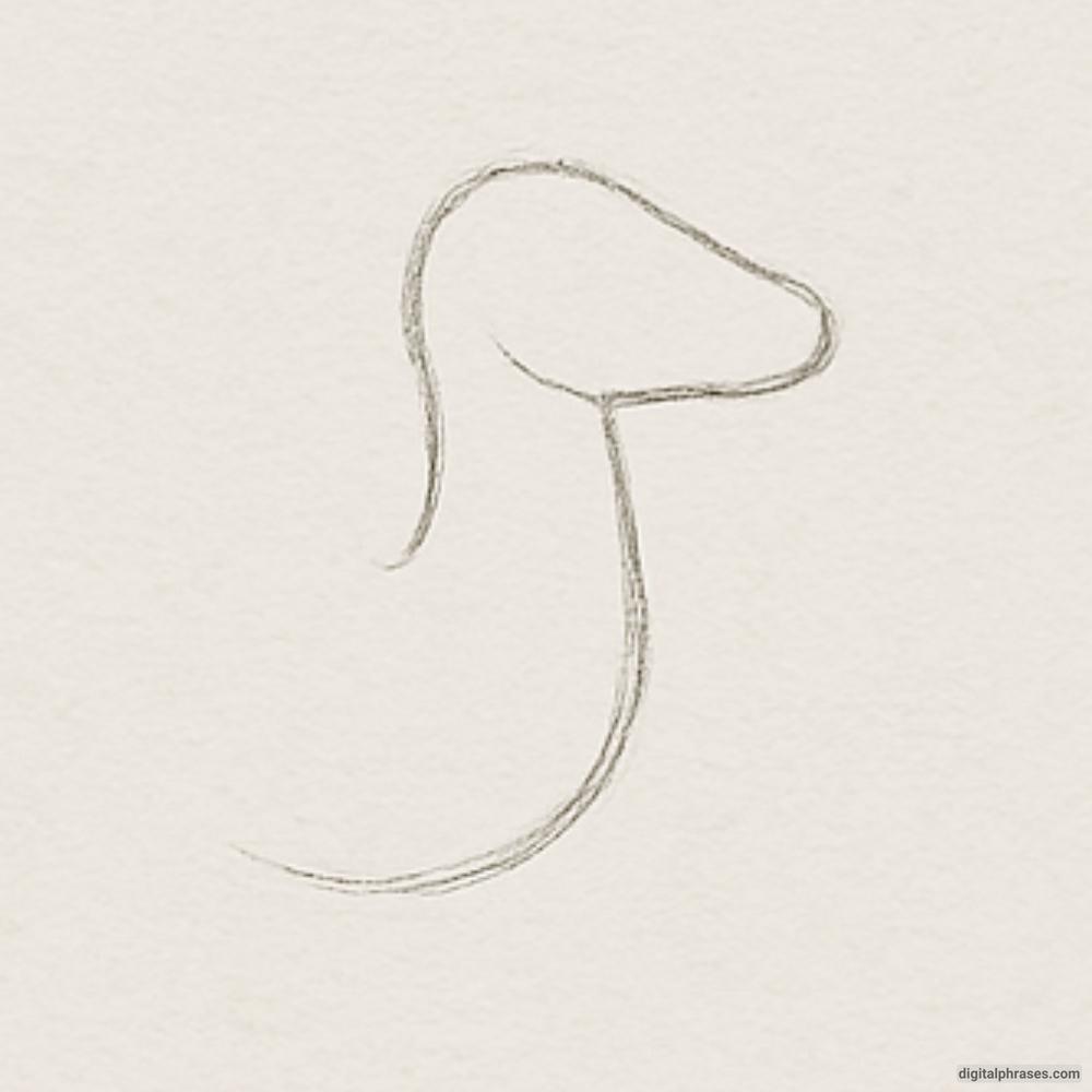 How To Draw a Deer How To Draw a Deer