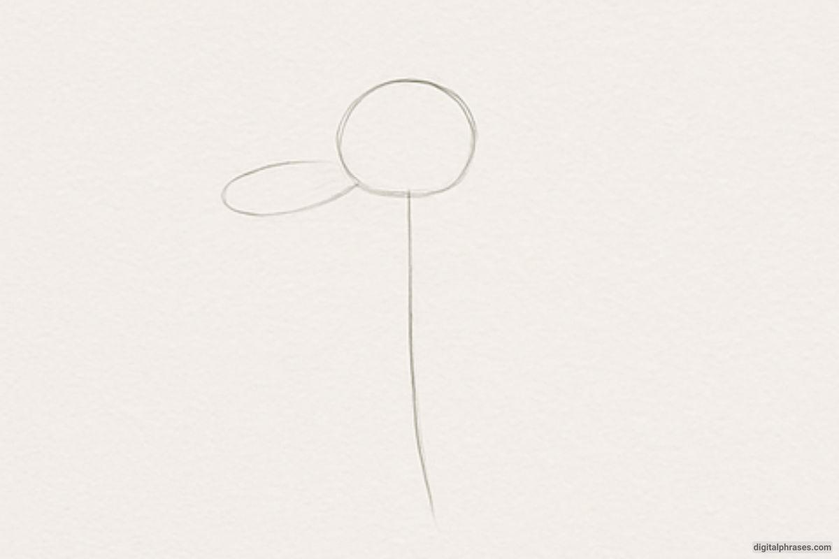 How To Draw a Daisy Flower How To Draw a Daisy Flower