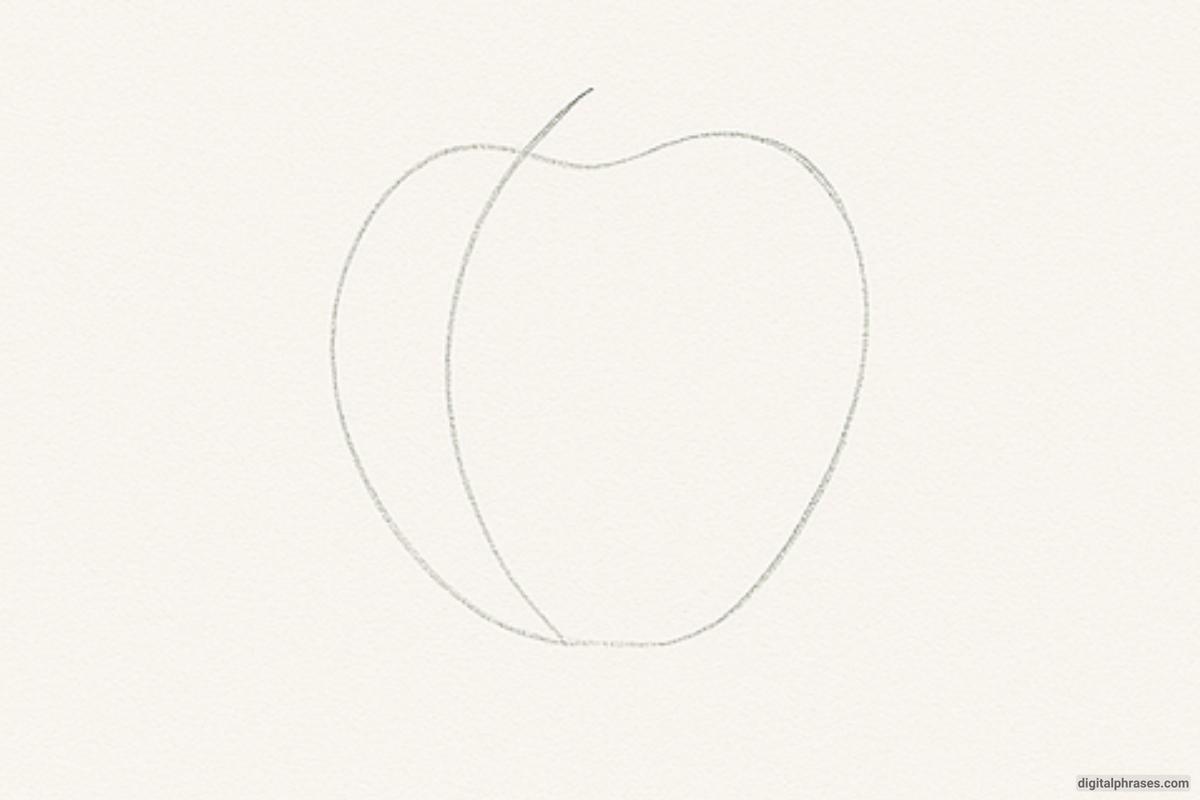 How To Draw an Apple How To Draw an Apple