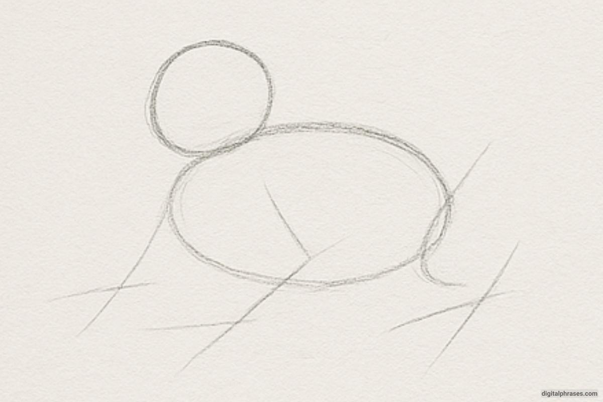 How To Draw a Frog - A Step-By-Step Guide How To Draw a Frog - A Step-By-Step Guide