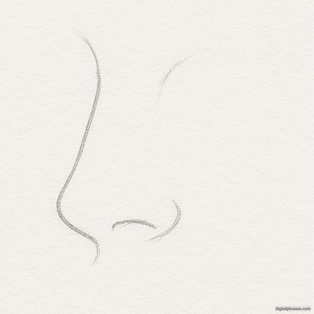 How to Draw an Anime Nose How to Draw an Anime Nose