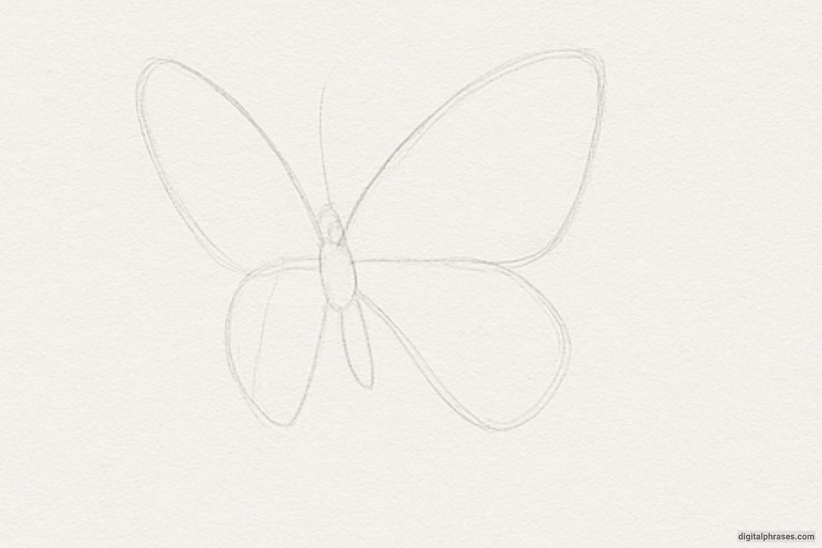 How To Draw a Butterfly How To Draw a Butterfly
