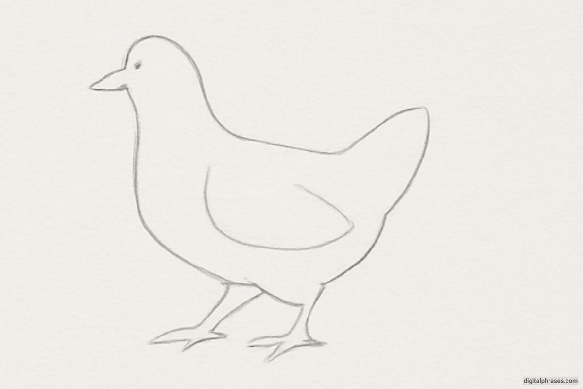 How To Draw a Chicken How To Draw a Chicken