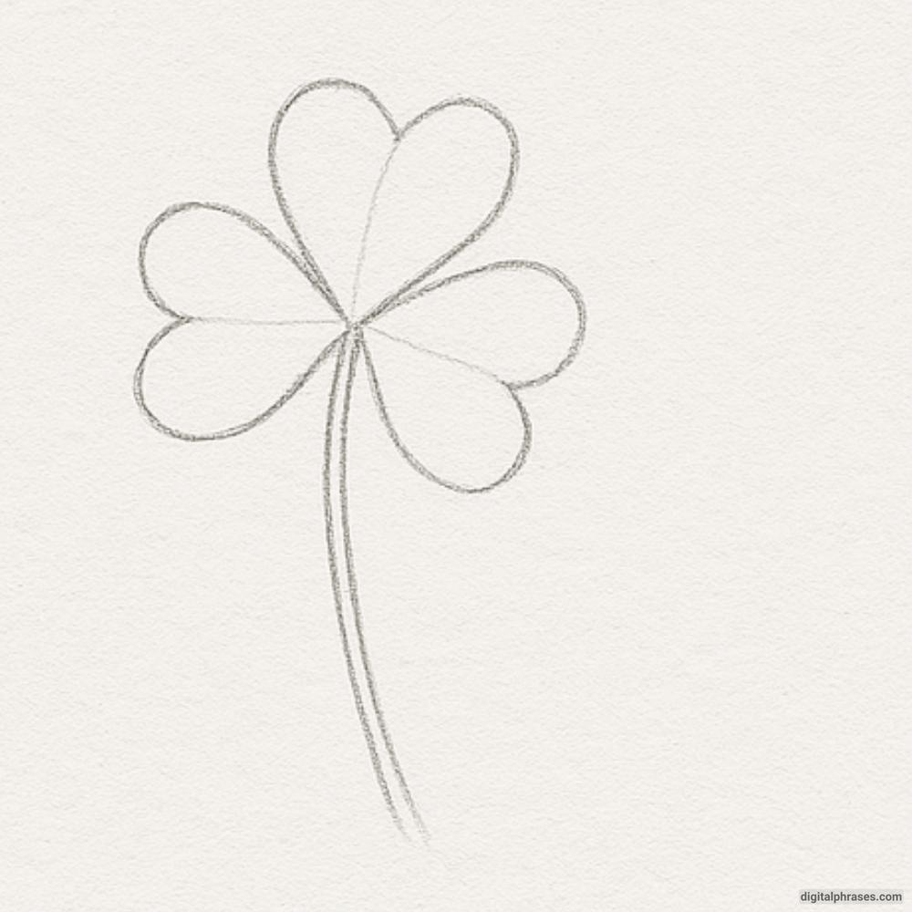 How To Draw a Clover Plant How To Draw a Clover Plant