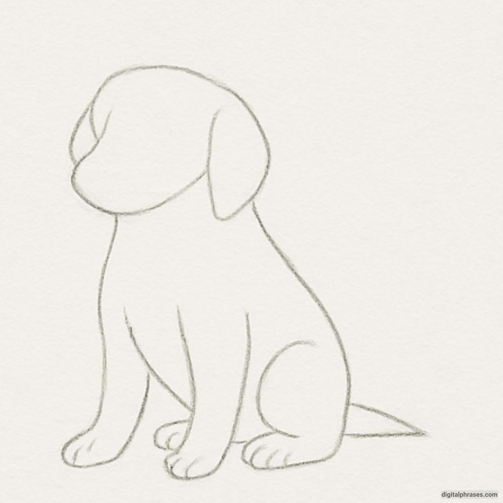 How To Draw a Dog How To Draw a Dog