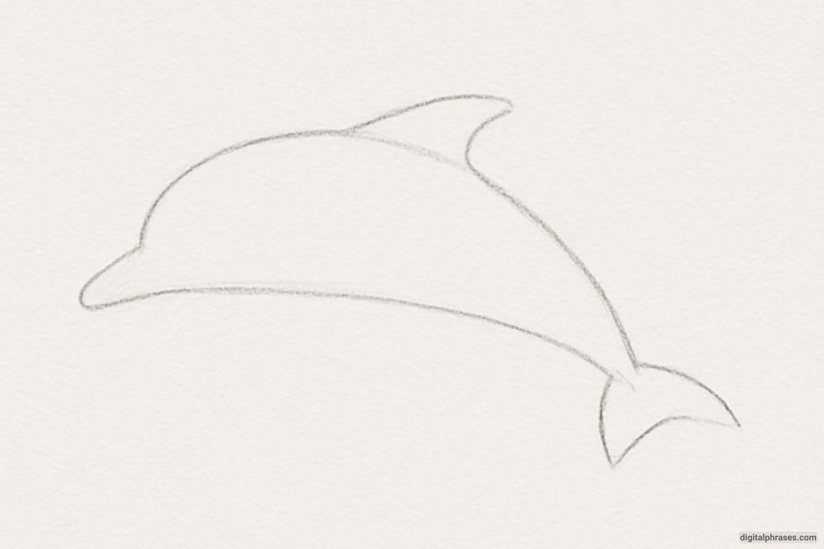 How To Draw a Dolphin How To Draw a Dolphin
