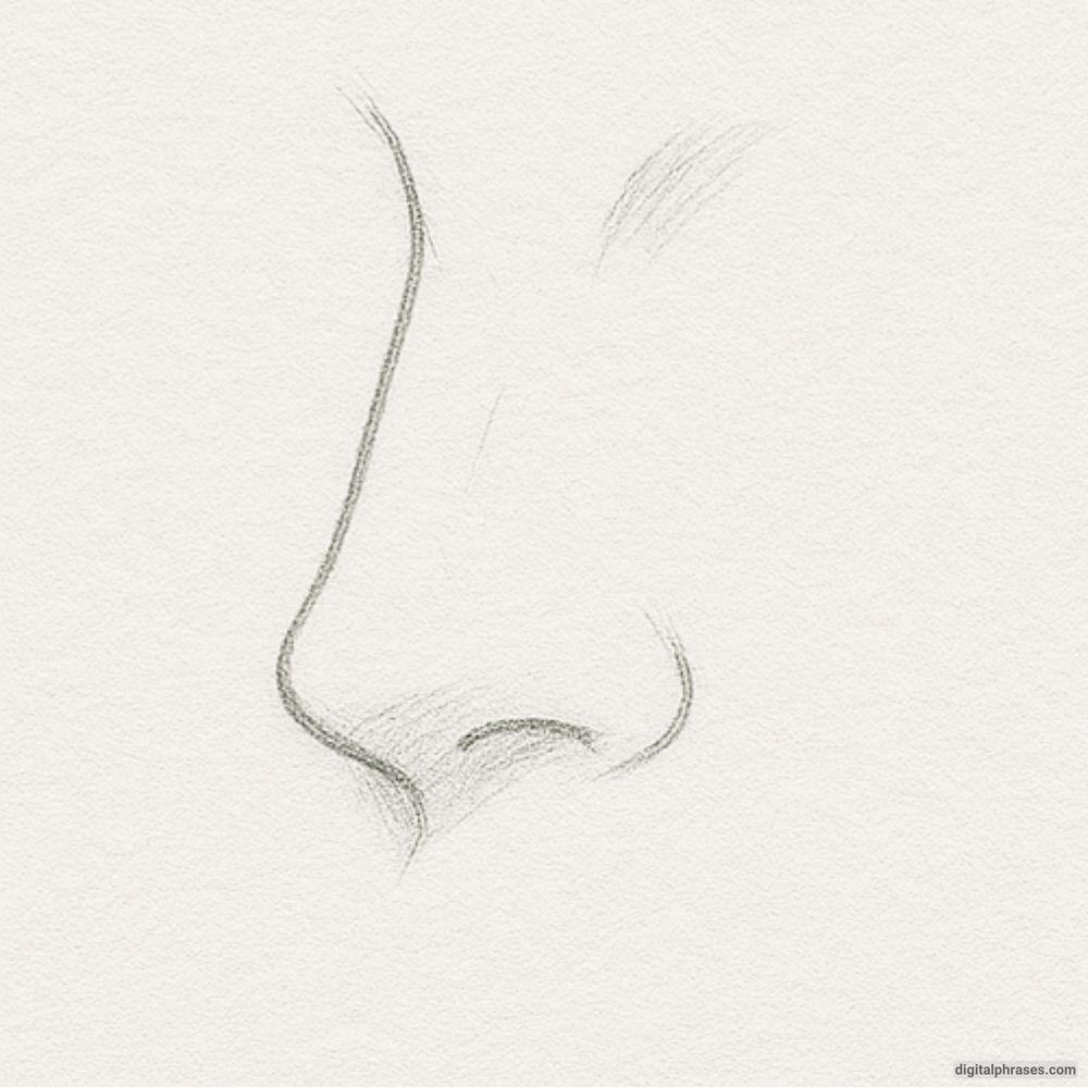 How to Draw an Anime Nose How to Draw an Anime Nose