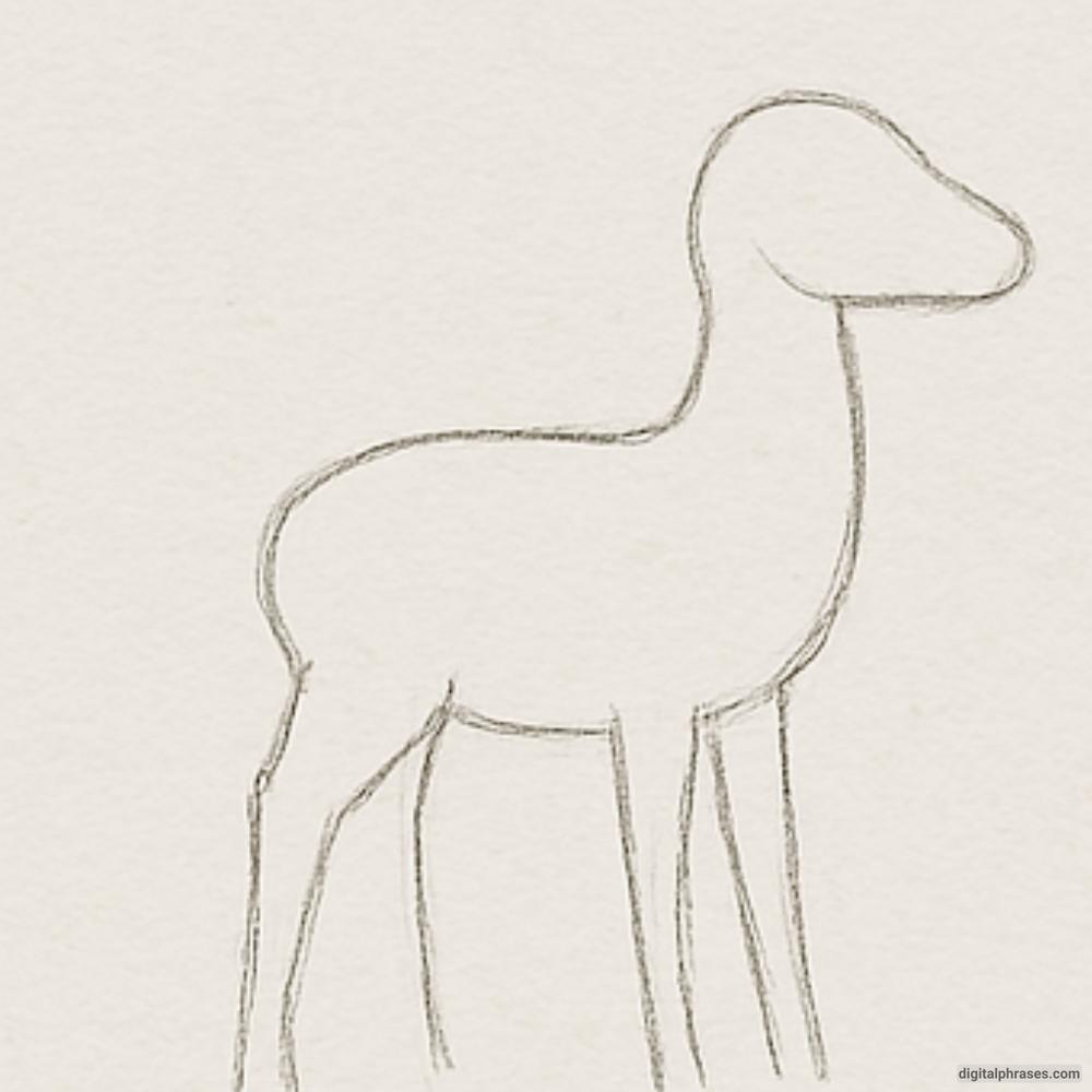 How To Draw a Deer How To Draw a Deer