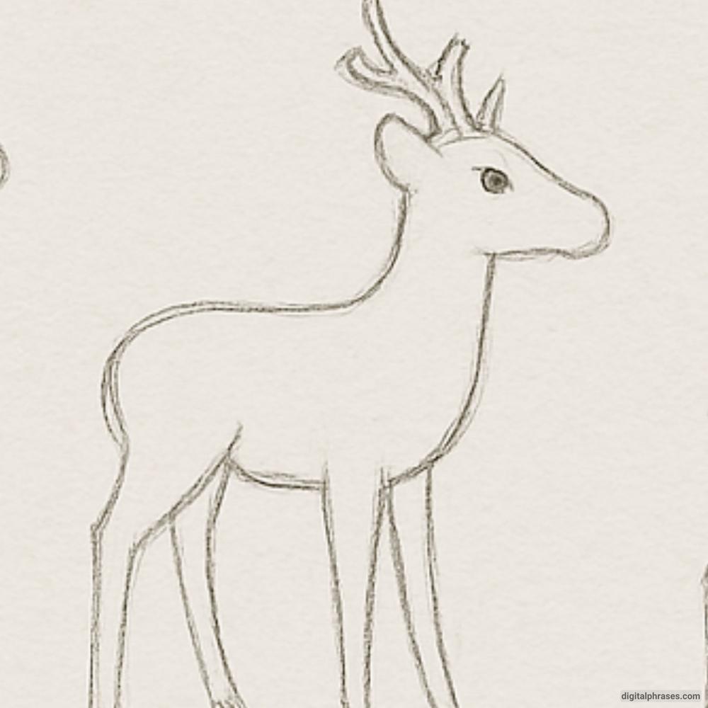 How To Draw a Deer How To Draw a Deer