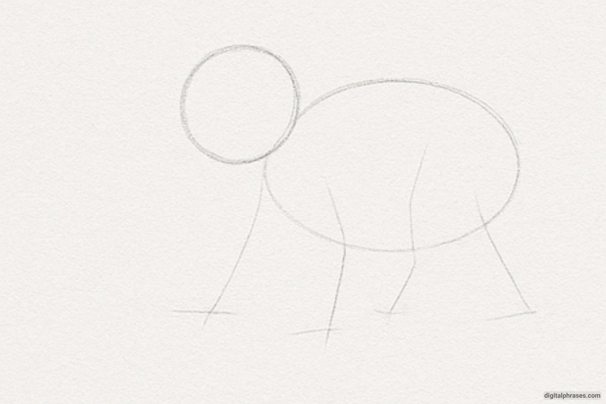 How To Draw an Elephant How To Draw an Elephant