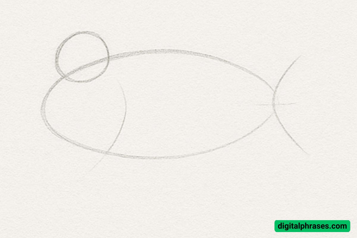 How To Draw a Fish How To Draw a Fish