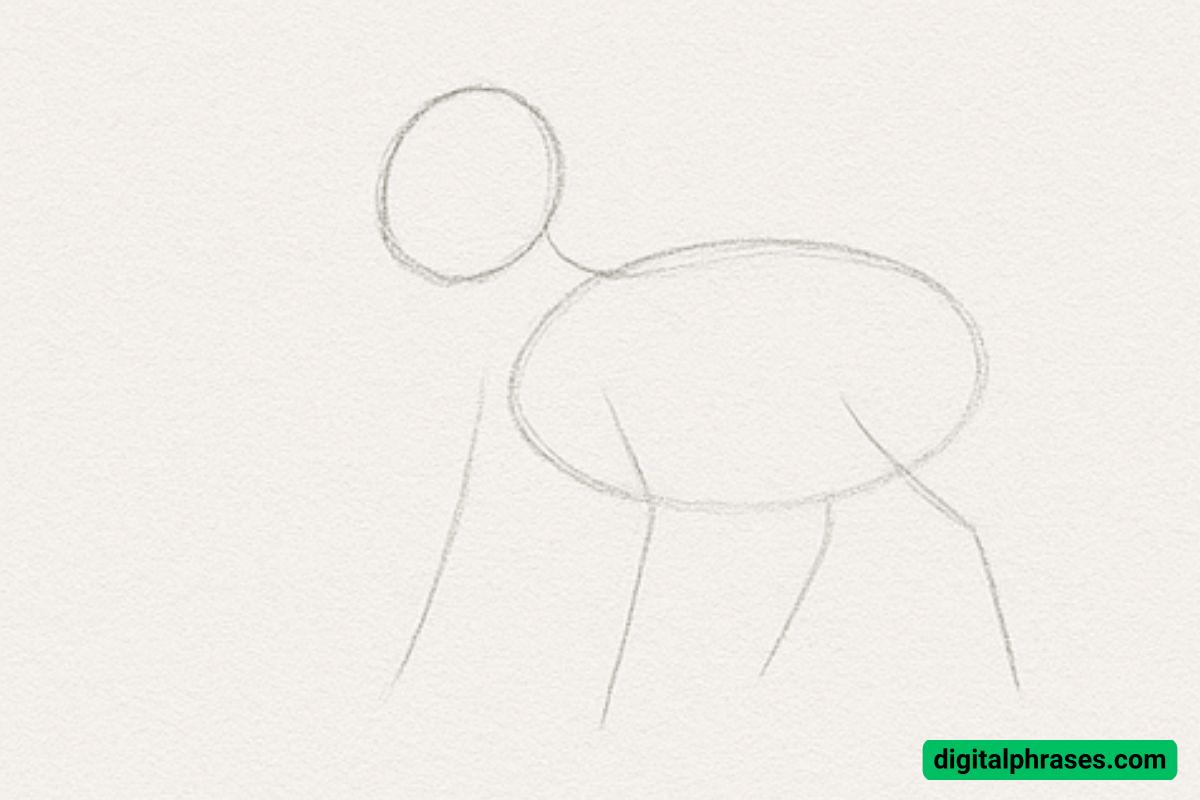 How To Draw a Goat How To Draw a Goat
