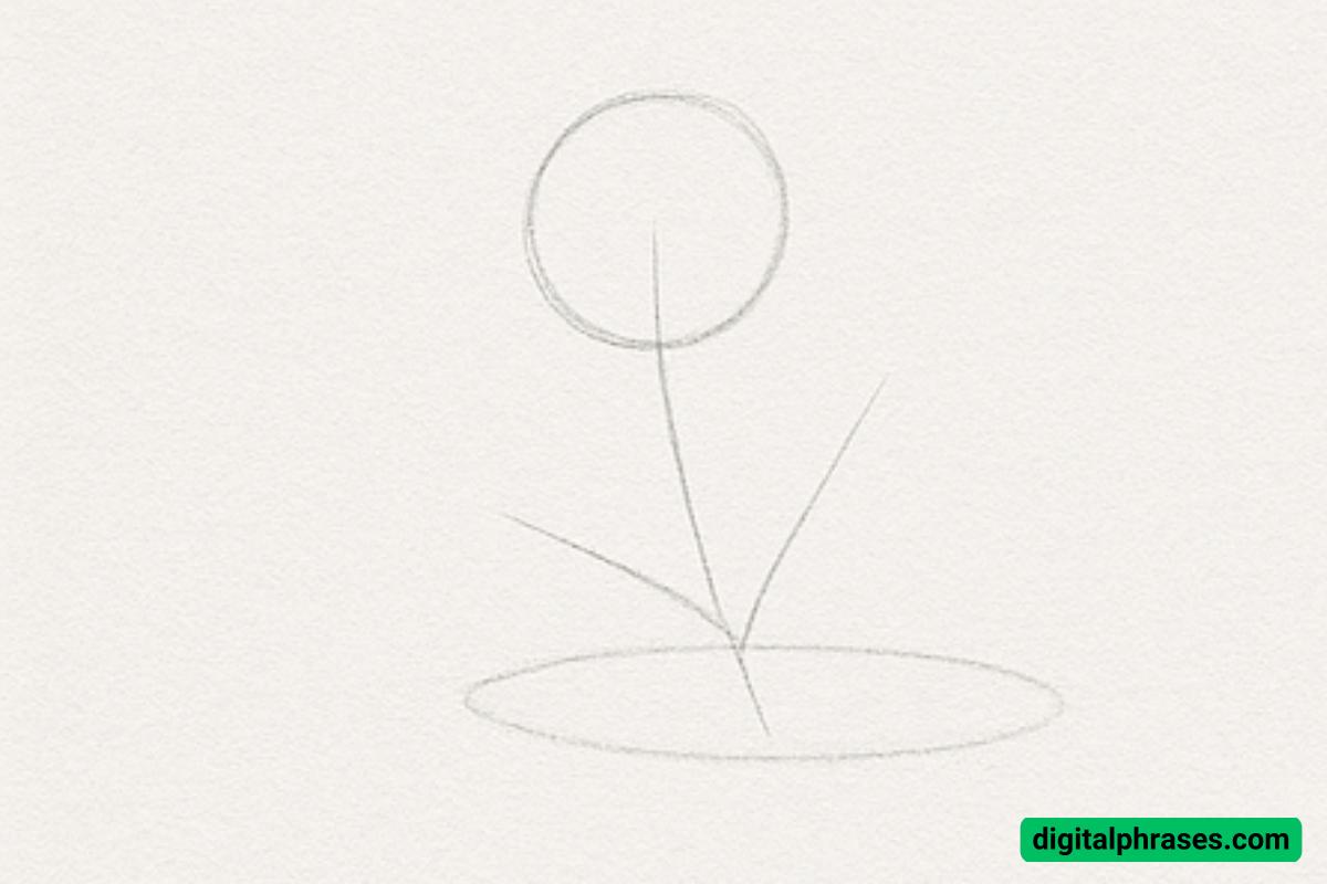 How To Draw a Flower How To Draw a Flower