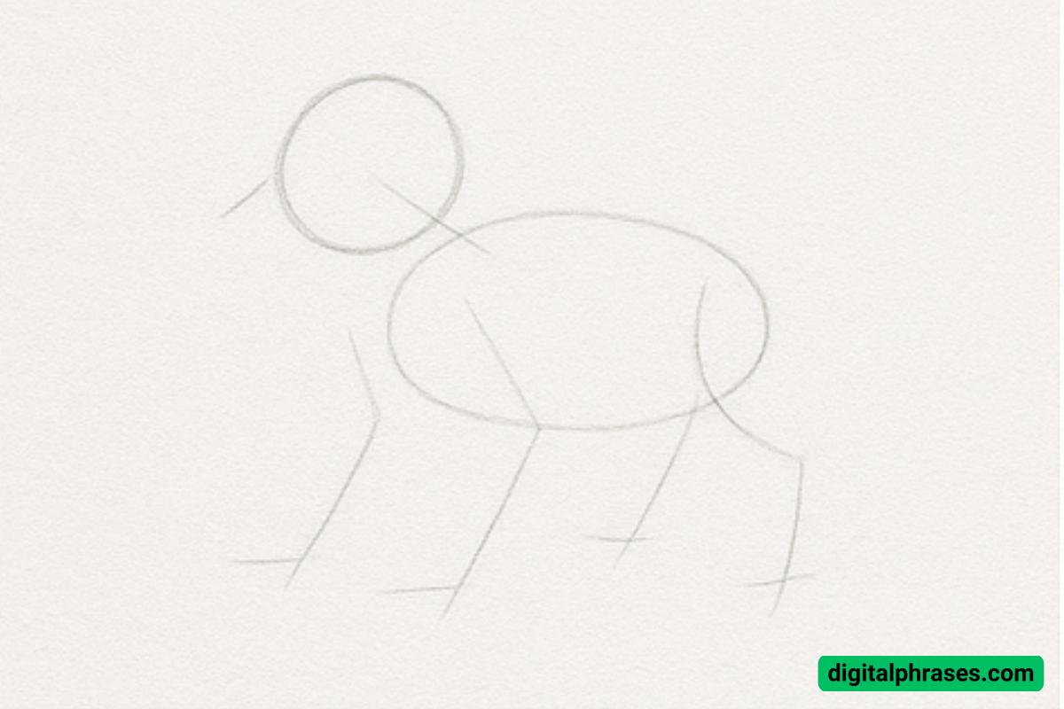 How To Draw a Furry How To Draw a Furry
