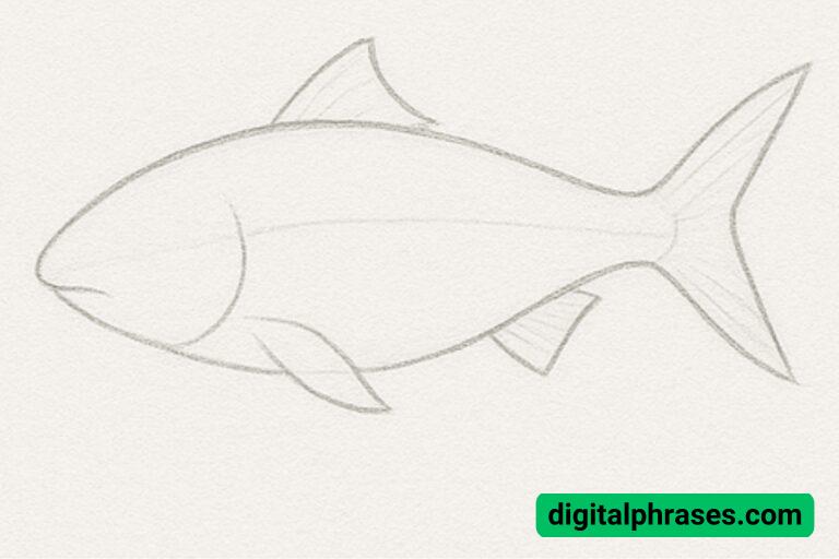 To Draw Awinking Fish How To Draw a Fish