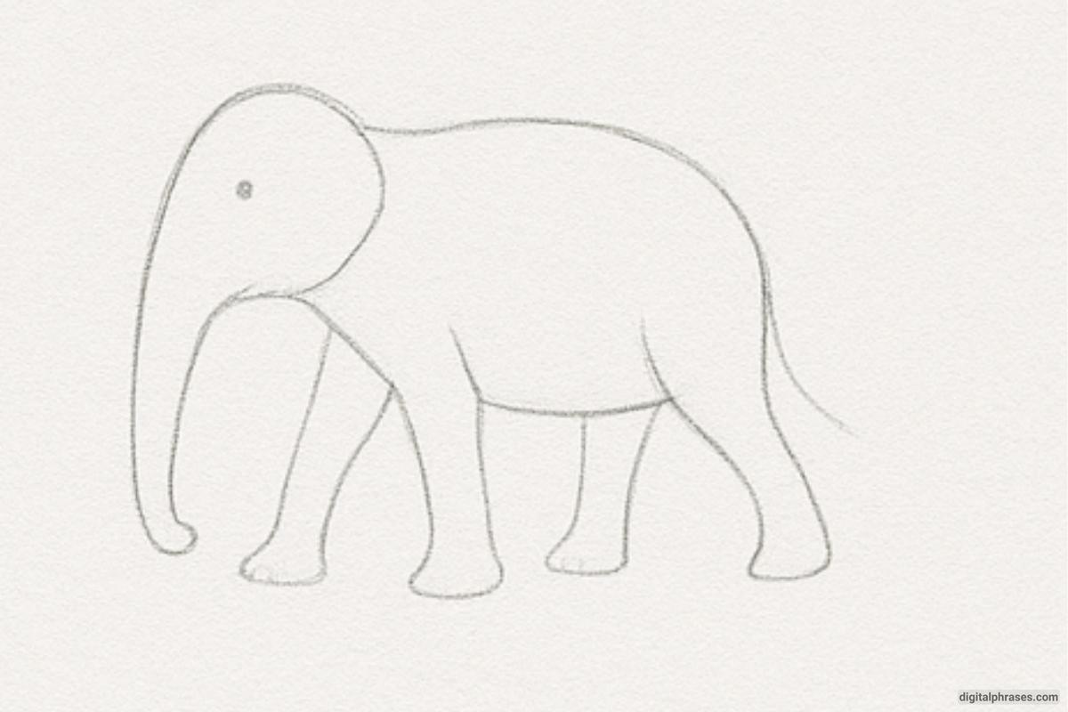 How To Draw an Elephant How To Draw an Elephant