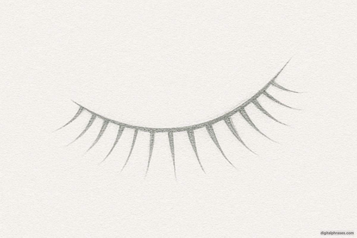 How To Draw Eyelashes How To Draw Eyelashes