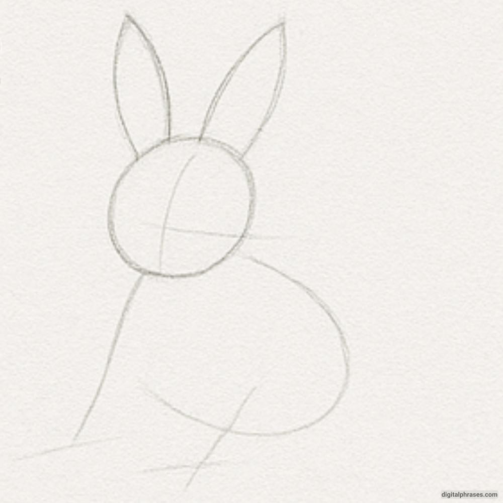 How To Draw an Easter Bunny How To Draw an Easter Bunny