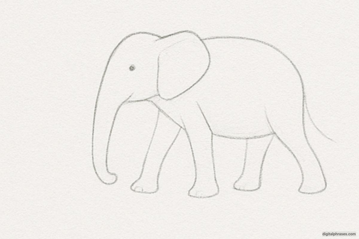 How To Draw an Elephant How To Draw an Elephant