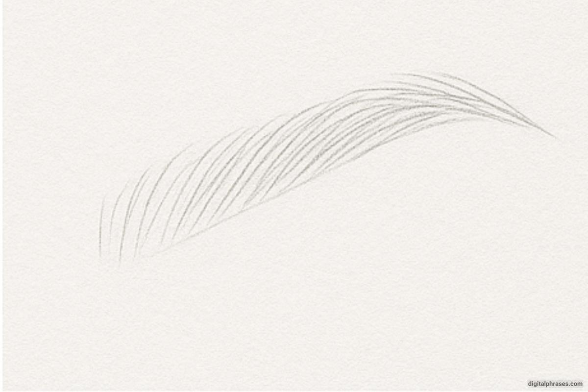 How To Draw An Eyebrow How To Draw An Eyebrow