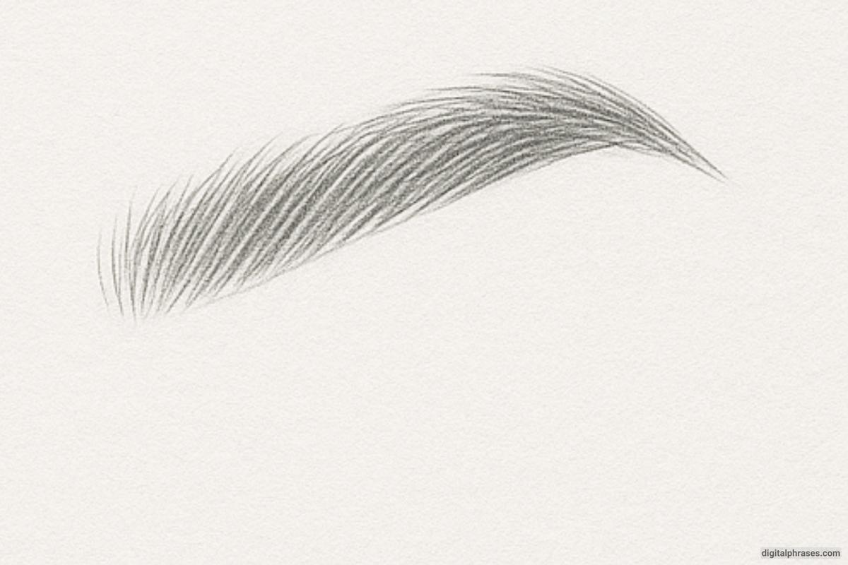 How To Draw An Eyebrow How To Draw An Eyebrow