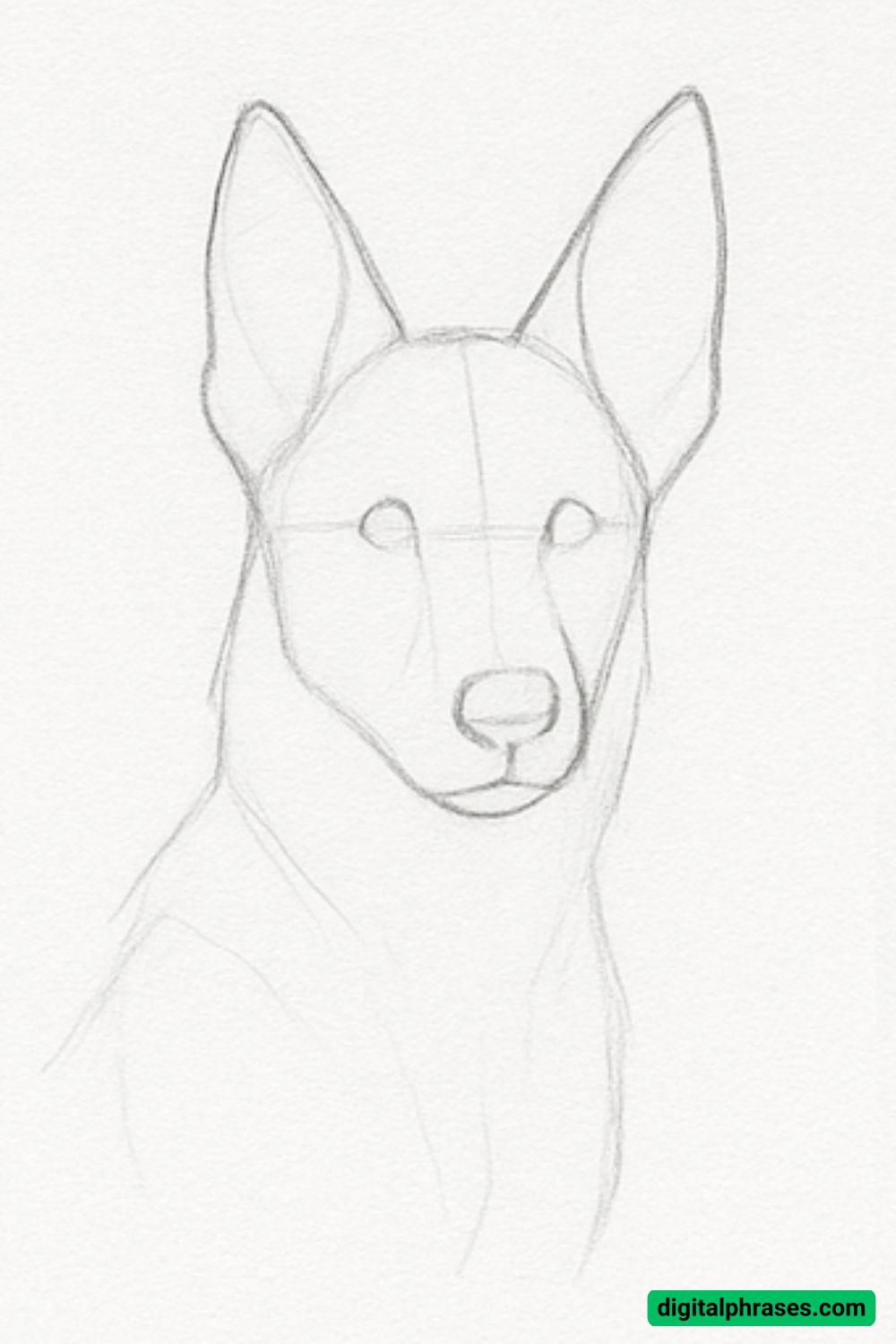 How to Draw a German Shepherd – Step-by-Step Guide