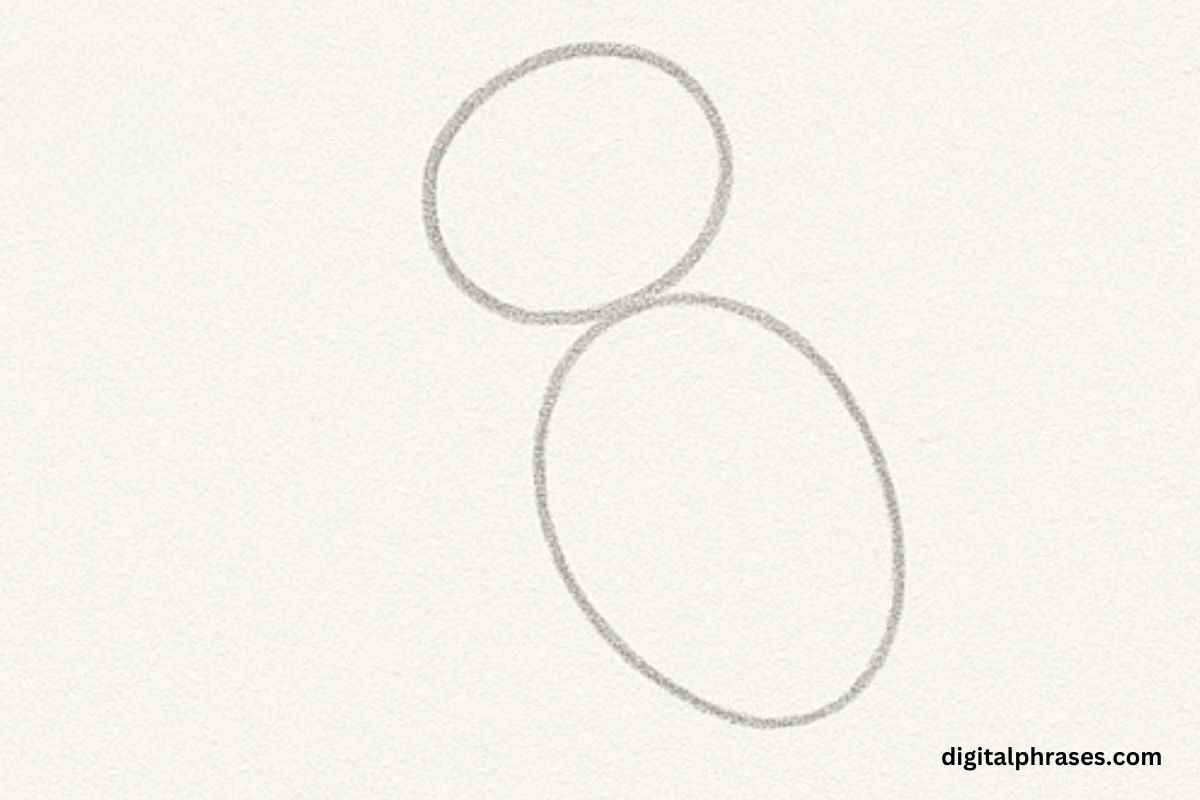 How To Draw a Parrot How To Draw a Parrot