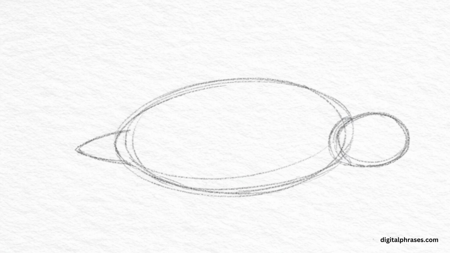 How To Draw a Sea Turtle?