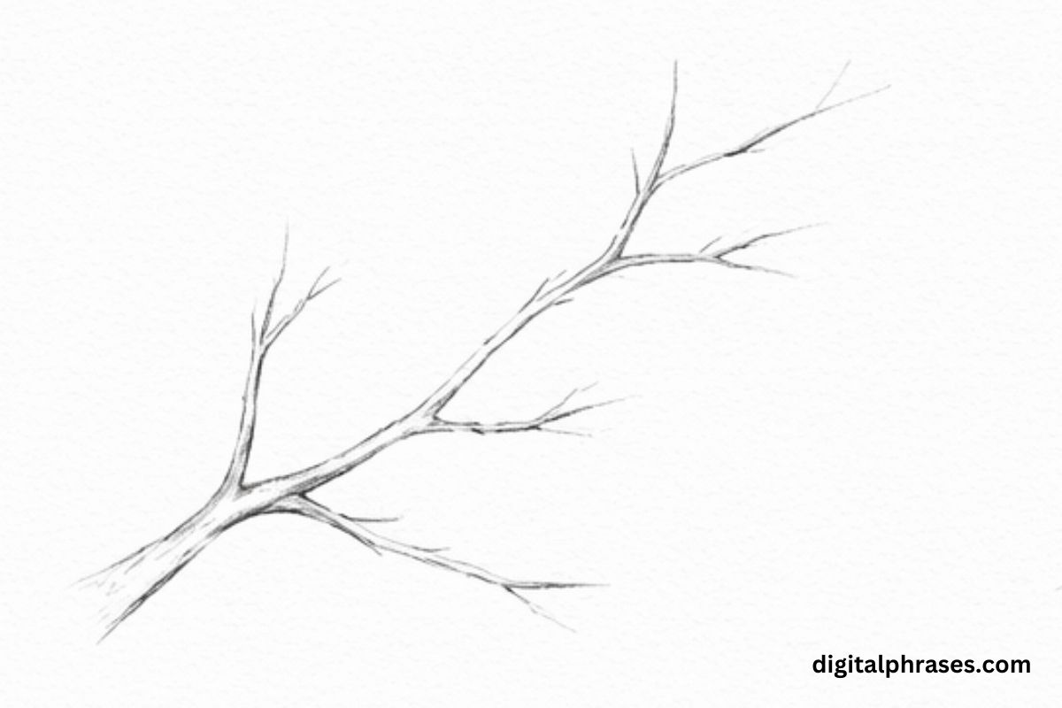 How To Draw Cherry Blossom?