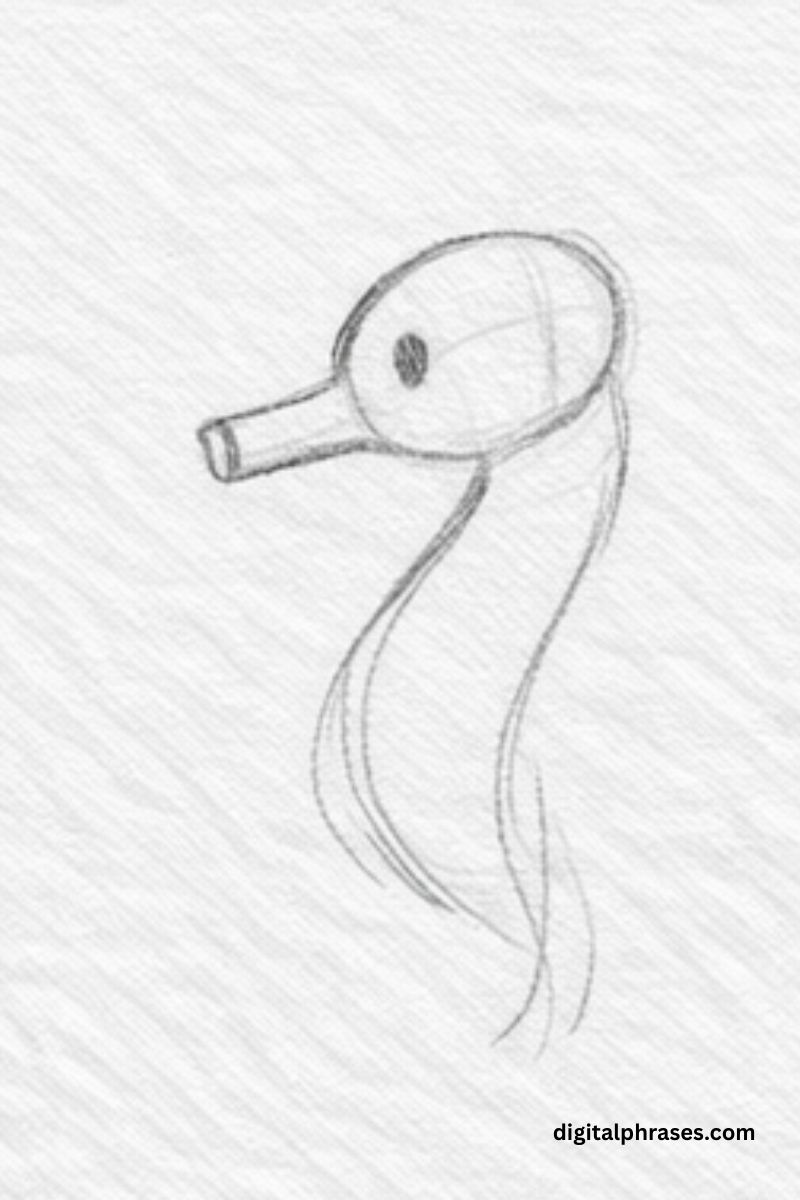 How To Draw a Sea Horse?