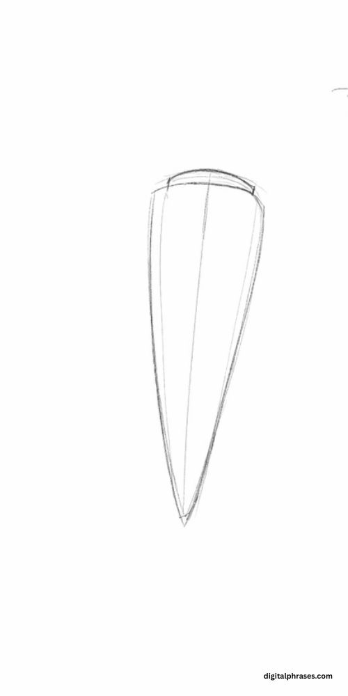 How To Draw a Carrot?