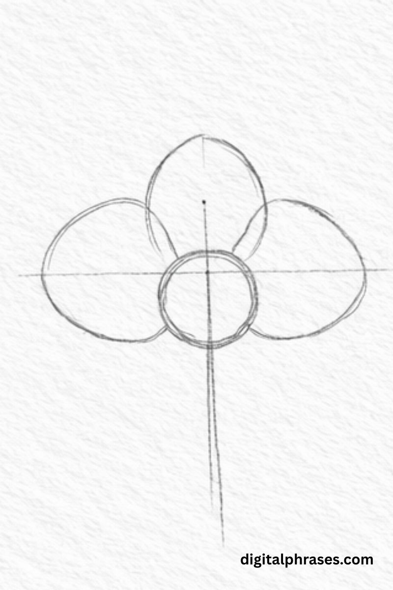 How To Draw an Orchid?