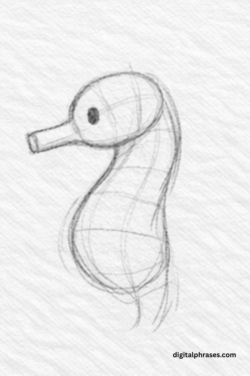 How To Draw a Sea Horse?