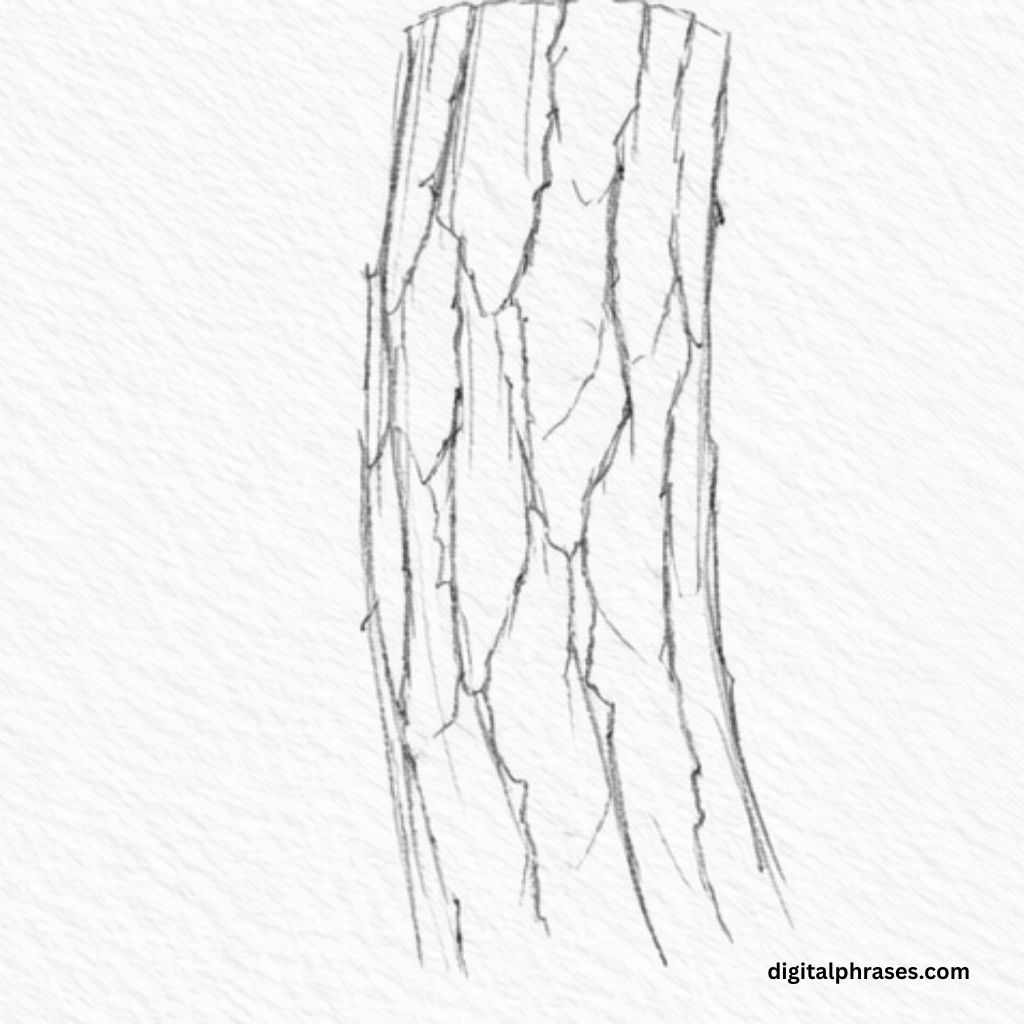 How To Draw a Wooden Bark?