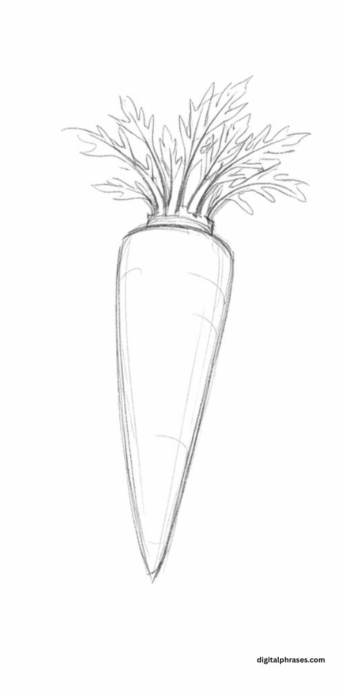 How To Draw a Carrot?