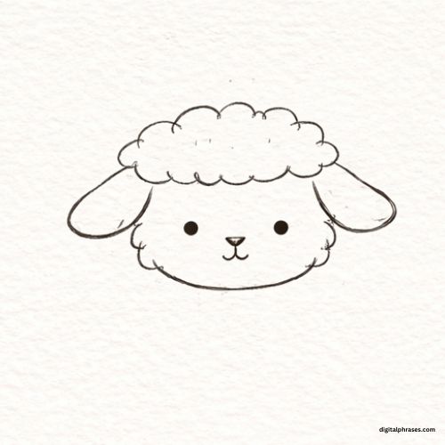 How to Draw a Lamb?