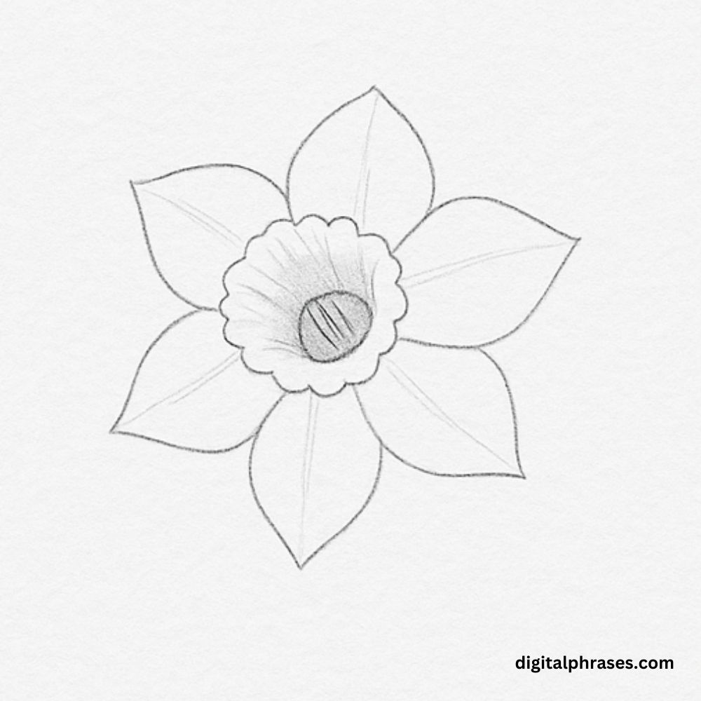 How to Draw a Daffodil? How to Draw a Daffodil?