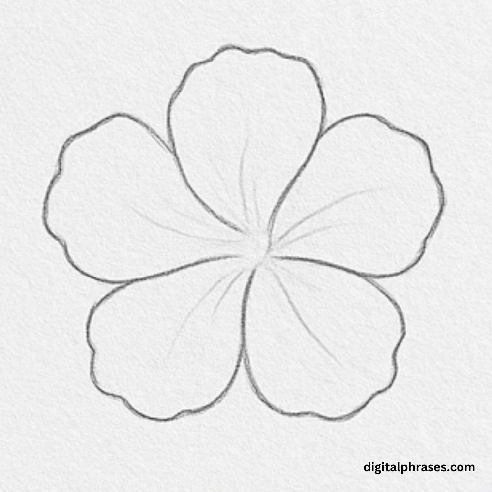 How To Draw a Hibiscus Flower How To Draw a Hibiscus Flower